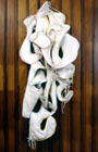 Knot Becoming  - Soft Sculpture, wall hanging
